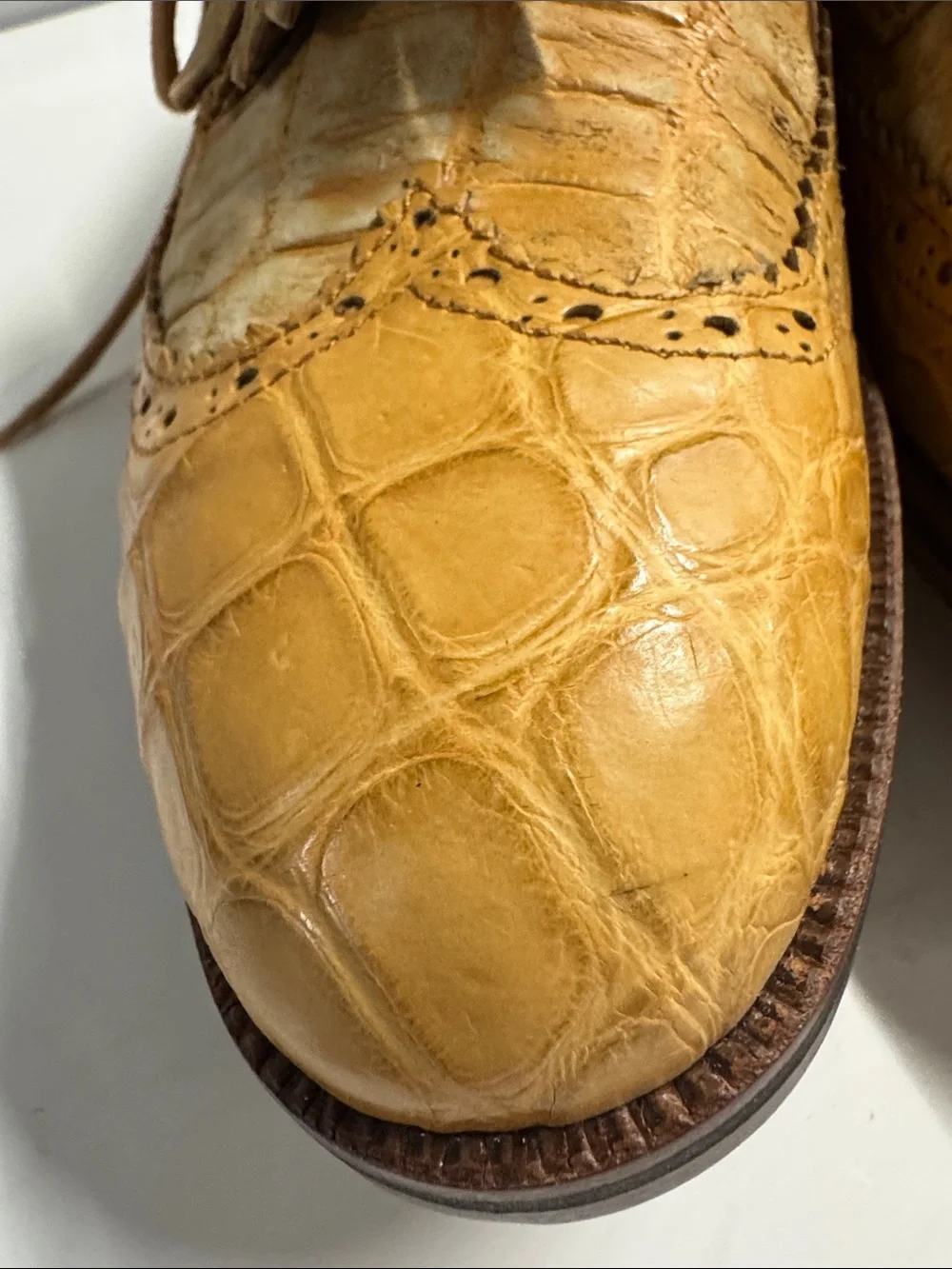 Caporicci Golf ⛳️ Real Alligator 🐊 Leather Tassel Wingtip - Tan size 9
